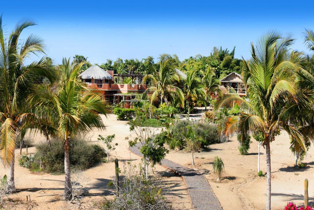 Hotel Flora Del Mar Todos Santos Exterior foto